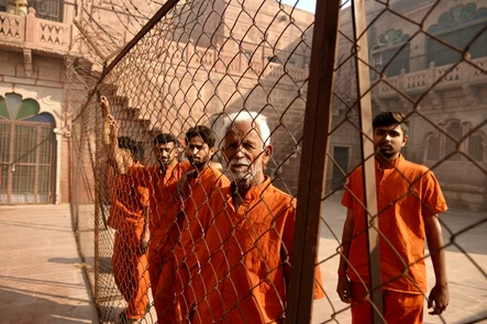 Королёк моей любви