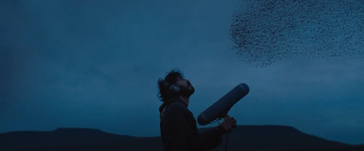 Ловушка для кролика