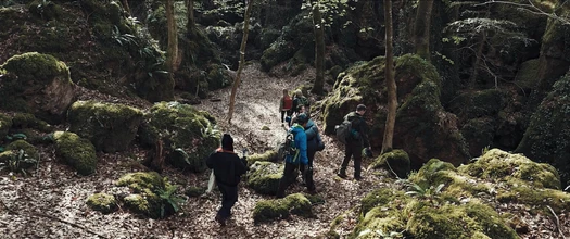 Хищник. Спуск в преисподнюю
