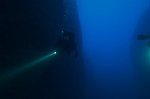 Подводный капкан отзывы. Подводный капкан (2023). Подводный капкан. Подводный капкан Википедия.